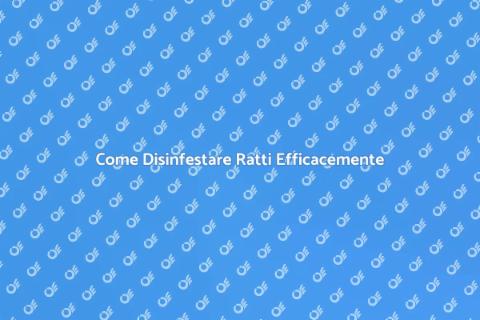 Disinfestare Ratti: Guida Completa
