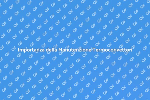 Manutenzione Annuale per Termoconvettori