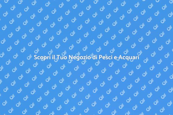 Esplora il Mondo degli Acquari