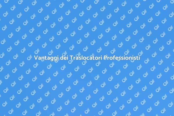 Semplifica il tuo Trasloco con Professionisti