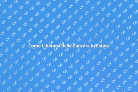 Disinfestazione Zanzare: Guida Pratica