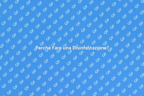 Disinfestazione: Proteggi Casa e Salute