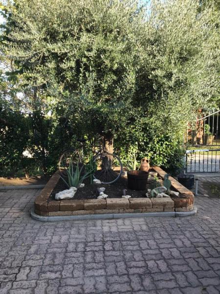Re del giardino - Foto 4