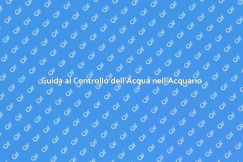 Controllo Acqua Acquario: Guida Essenziale