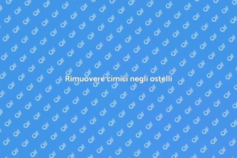 Disinfestazione cimici in ostelli