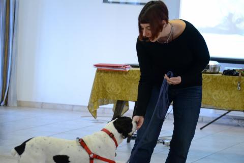 DogSoul - Foto 2