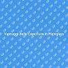 Plexiglass: Sicurezza e Design Unico