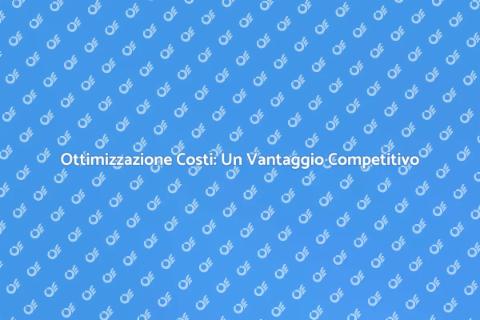Consulenza per Ottimizzare i Costi