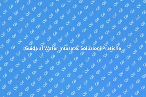 Risolvere il Problema del Water Intasato