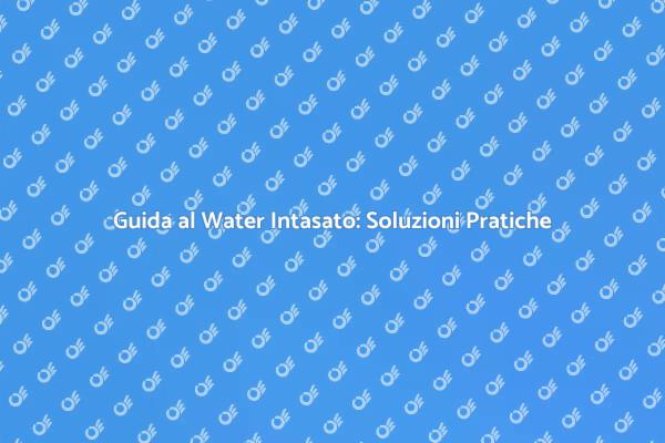 Come Risolvere un Water Intasato
