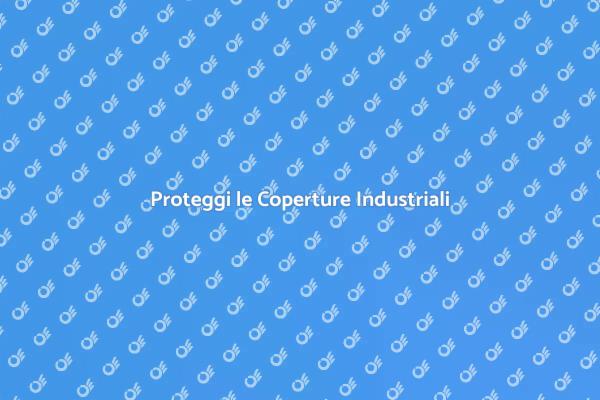 Sicurezza delle Coperture Industriali
