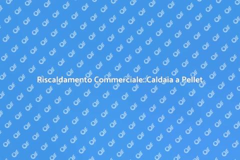 Caldaia a Pellet per Uso Commerciale