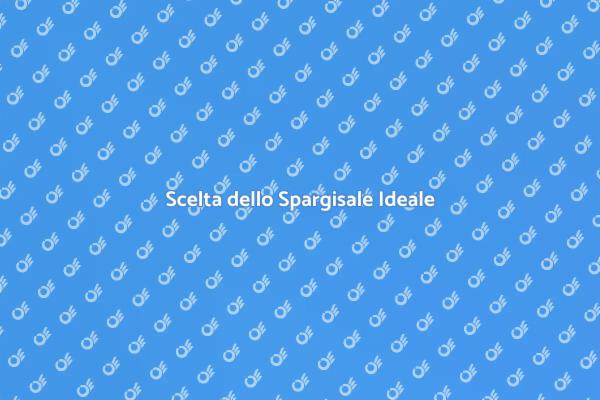 Guida alla Scelta dello Spargisale