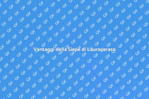 Lauroceraso: la scelta per il tuo giardino