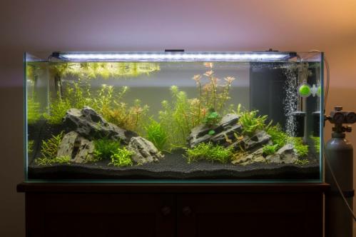progettare acquario