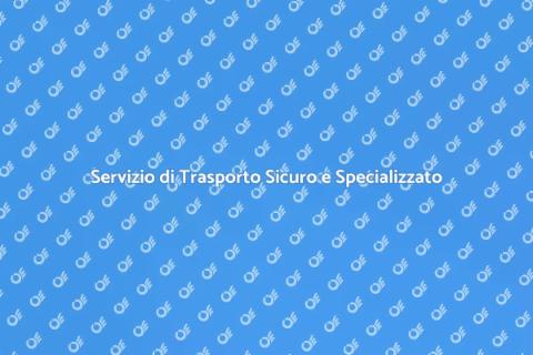 Trasporto Specializzato Efficiente