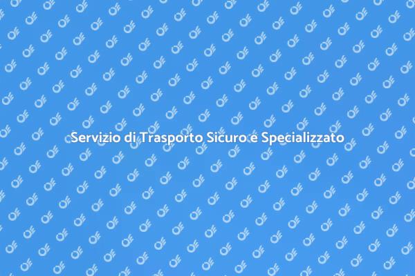Chiavi per un Trasporto Specializzato