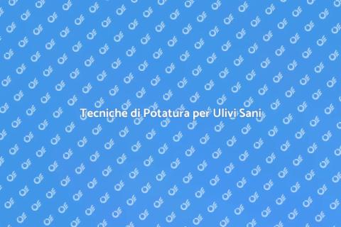 Potatura dell'Olivo: Arte e Tecnica