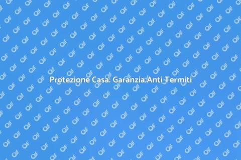 Garanzia Anti Termiti: Proteggi Casa