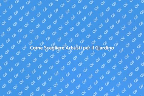 Arbusti per il Giardino: Guida all'Acquisto