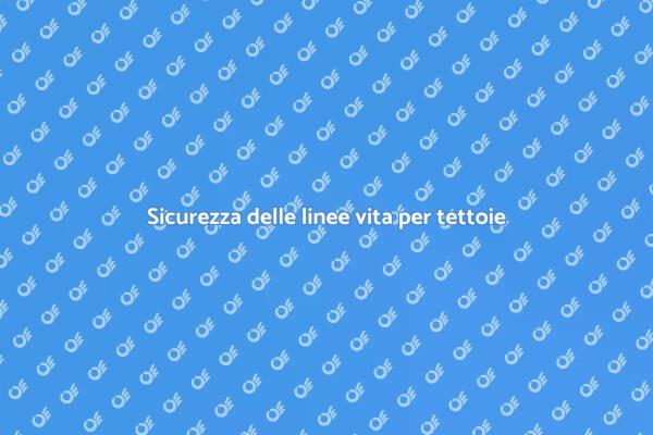 Linee vita: sicurezza per tettoie