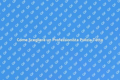Ingaggiare un Professionista Pulizia Tetto