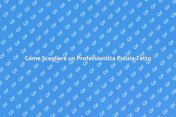 Professionista per la Pulizia del Tetto