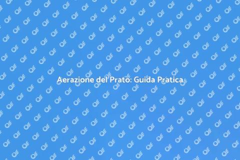 Aerare il Prato per un Giardino Verde