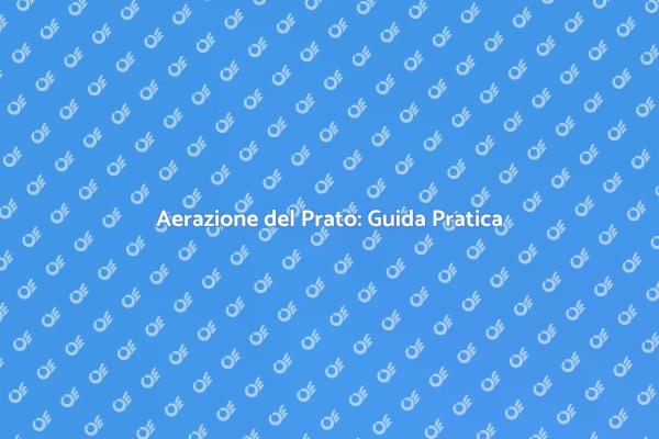 Scopri l'Aerazione del Prato!