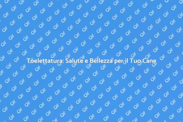 La Toelettatura: Un Amore per i Cani