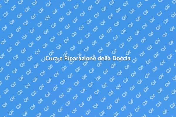 Manutenzione Essenziale della Doccia