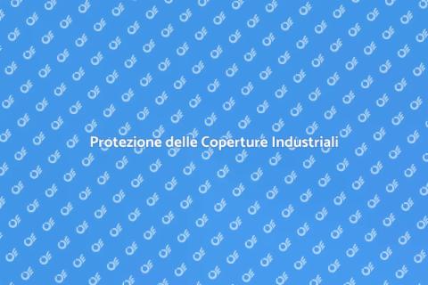 Sicurezza Coperture Industriali