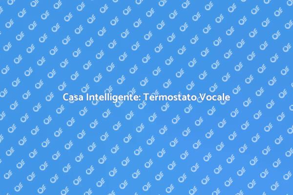 Ottimizza Comfort con Termostato Vocale