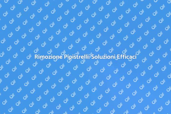 Come Rimuovere i Pipistrelli in Sicurezza