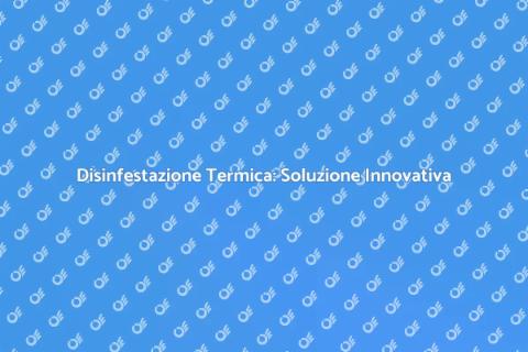 Disinfestazione Termica Efficace e Sicura