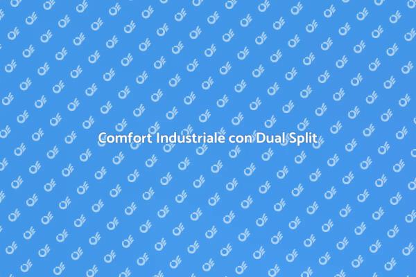 Rinfresca il Tuo Spazio con Dual Split