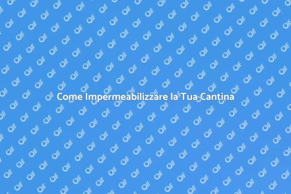 Impermeabilizzazione della Cantina: Ecco Come