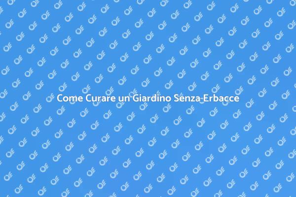 Giardinaggio: Mantenere il Tuo Giardino