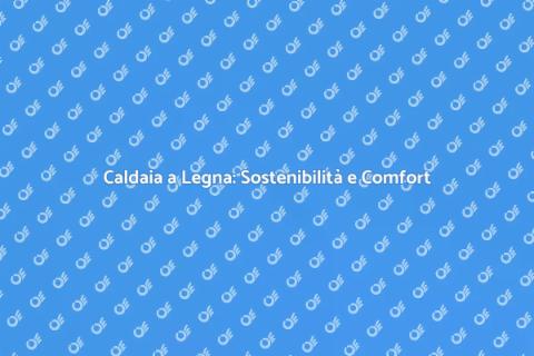 Efficienza Energetica Caldaia a Legna