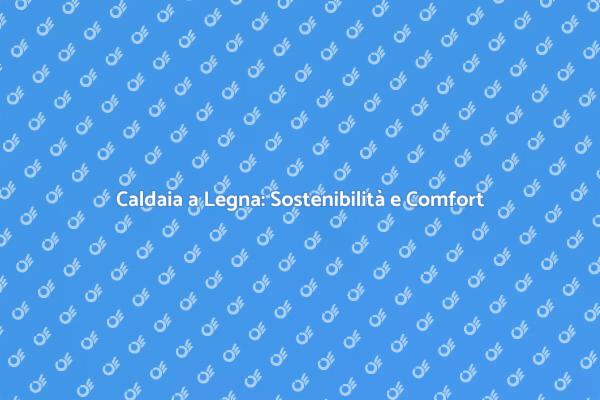 Caldaia a Legna: Riscaldamento Sostenibile