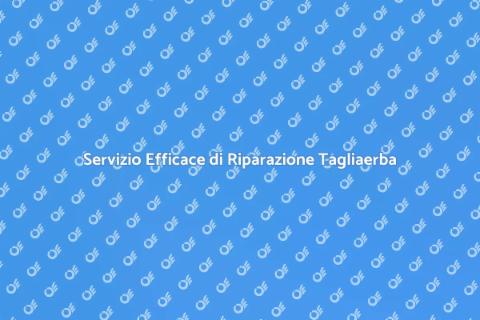 Riparazione Tagliaerba a Domicilio