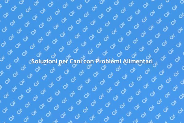 Affronta i Problemi di Alimentazione del Tuo Cane
