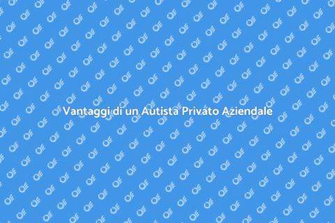 Autista Privato per Trasporti Aziendali