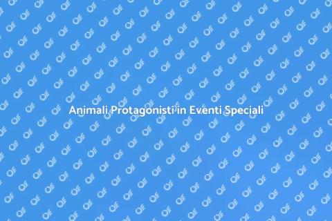 Educare Animali per Eventi Speciali
