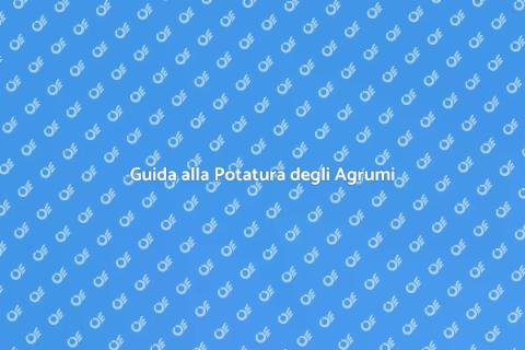 Potatura Fai Da Te degli Agrumi