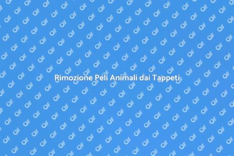 Pulisci Tappeti da Peli di Animali