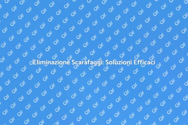 Liberati dagli Scarafaggi Oggi Stesso!