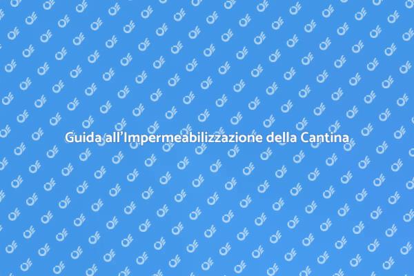 Impermeabilizzazione Cantina: Soluzioni Efficaci