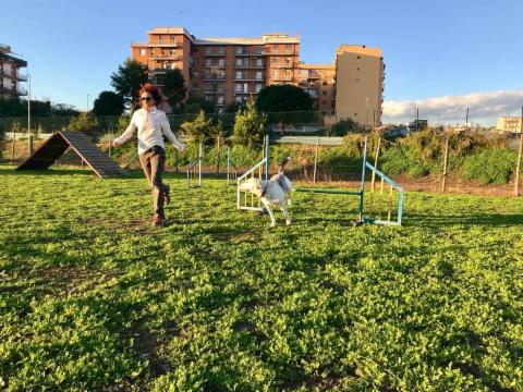 Dog School Catania - Foto 3
