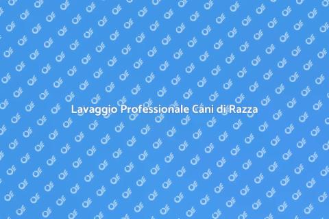 Lavaggio Cani di Razza Essenziale